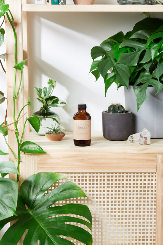 Natural Aged After Shave / Cologne Organic Bay – The perfect After Shave for you, by S.P. Beauty