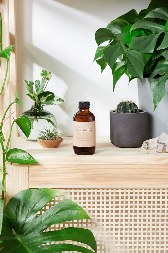 Natural Aged After Shave / Cologne Organic Bay – The perfect After Shave for you, by S.P. Beauty