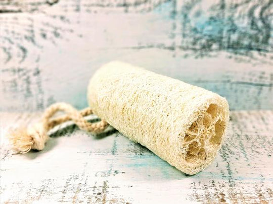 Organic Natural 4" luffa, vegan – The perfect Luffa for you, by S.P. Beauty