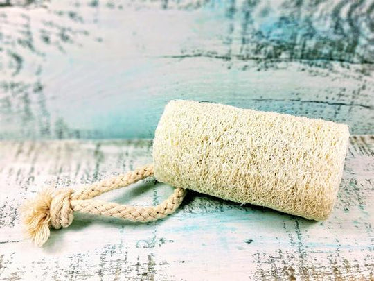 Organic Natural 4" luffa, vegan – The perfect Luffa for you, by S.P. Beauty